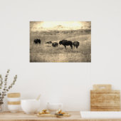 Badlands Bison Poster (Keuken)