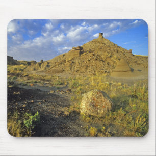 Badlands-formaties in Dinosaur Provincial Park Muismat
