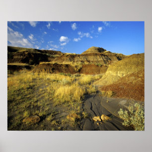Badlands in Dinosaur Provincial Park in Alberta, Poster