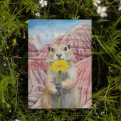 Badlands National Park Prairie Dog Postcard Kaart