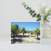 badpalm briefkaart (Staand voorkant)