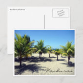 badpalm briefkaart (Voorkant / Achterkant)