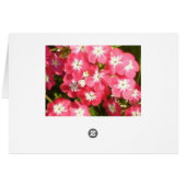 Badrinath Valley of Flowers 1 (Achterkant Horizontaal)