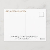 BAE-CATION #1 Briefkaart (Achterkant)