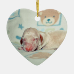 Bae Newborn-Lovebugdoxies puppy keepomwille Keramisch Ornament