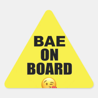 Bae on Board Sticker (Parodie on Baby on board)