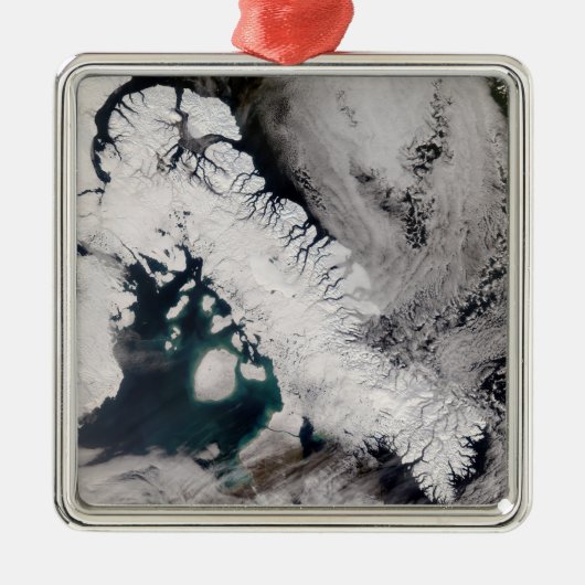 Baffin Metalen Ornament (Voorkant)