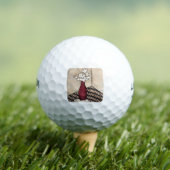 BAG05 Rode Vaas.tif Golfballen (Insitu Shirt)