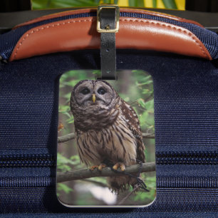 Bagage label van de Gestreepte Bosuil