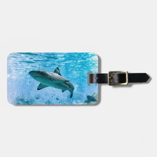  Bagagelabel (Voorkant horizontaal)