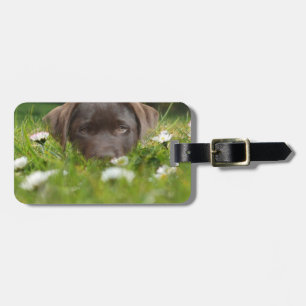 Bagagelabel Chocolade Lab Pup