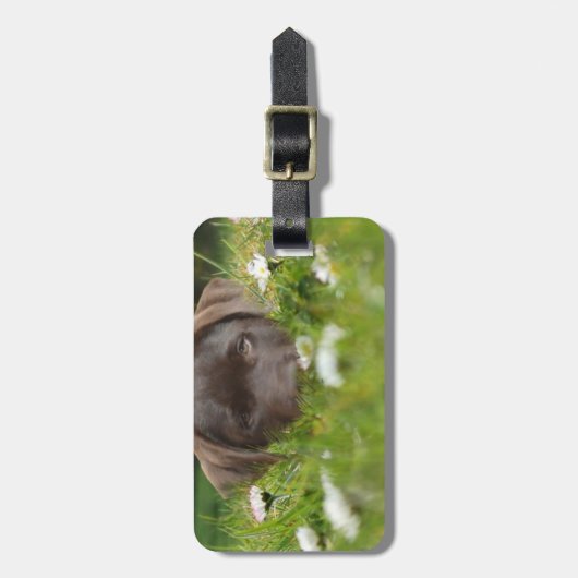 Bagagelabel Chocolade Lab Pup (Voorkant verticaal)