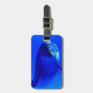 Bagagelabel dolfijn.