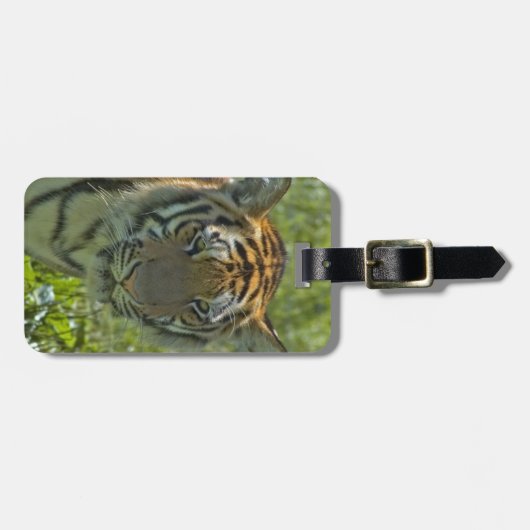 bagagelabel - Gepersonaliseerd (Voorkant horizontaal)