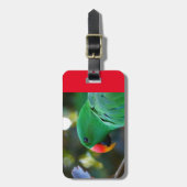 bagagelabel met Eclectus Parrot (Voorkant verticaal)