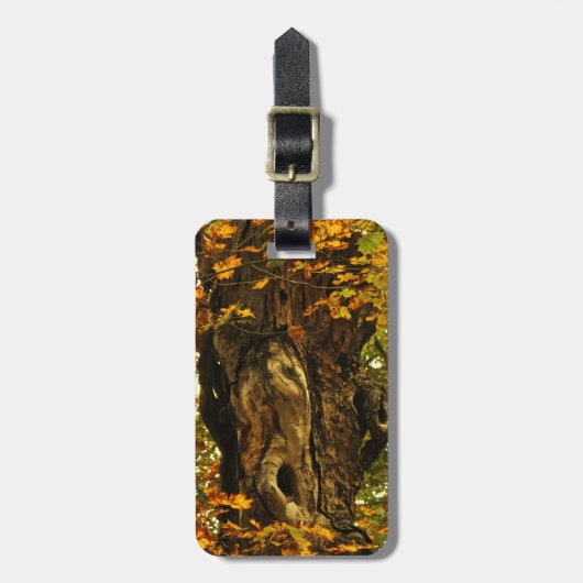 Bagagelabel Oude bomen (Voorkant verticaal)