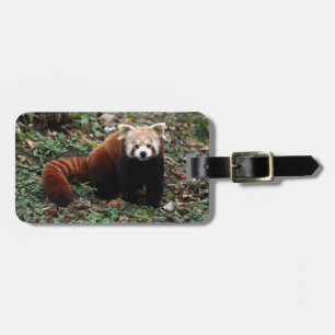 Bagagelabel - rode panda 3