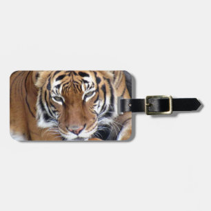 Bagagelabel Tiger