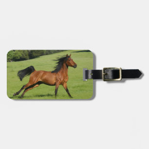 Bagagelabel van Arabieren met paarden