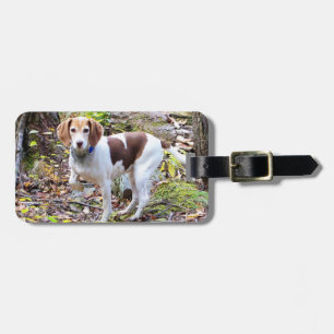 Bagagelabel van Beagle