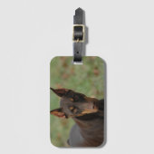 bagagelabel van Doberman (Voorkant (verticaal))