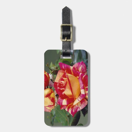 Bagagelabel van gele roze rozen (Voorkant verticaal)