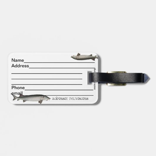 Bagagelabel van het meer (Achterkant horizontaal)