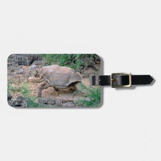 Bagagelabels van Galapagos Tortoise