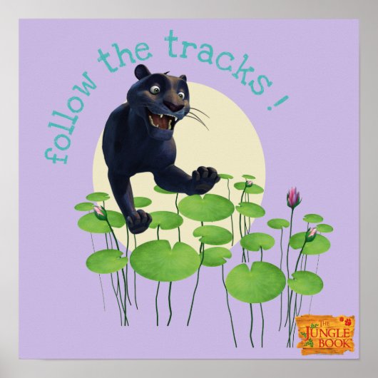 Bagheera 2 2 poster (Voorkant)