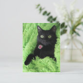 Bagheera de Zwarte Kat Briefkaart (Staand voorkant)