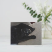 Bagheera de zwarte kat briefkaart (Staand voorkant)