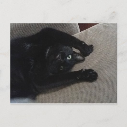 Bagheera de zwarte kat briefkaart (Voorkant)