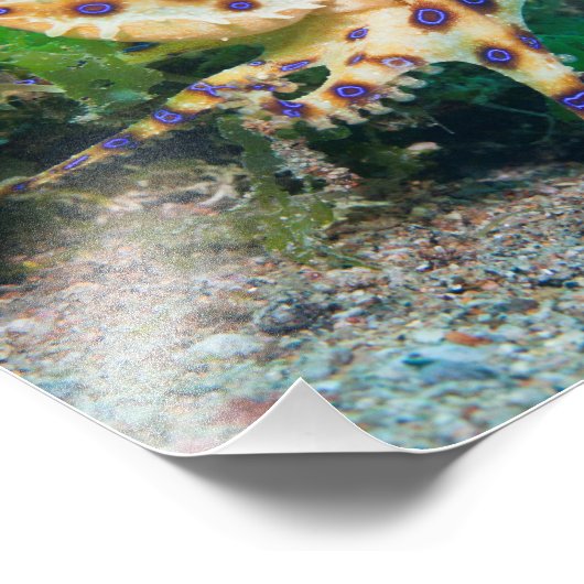 Bague Bleue Octopus Photo Impression (Coin)