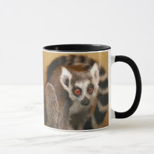 Bague Lémurien à 2 panneaux Mug à 2 tons