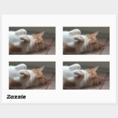 Baguette Chat couchage Stickers Rectangle (Feuille)