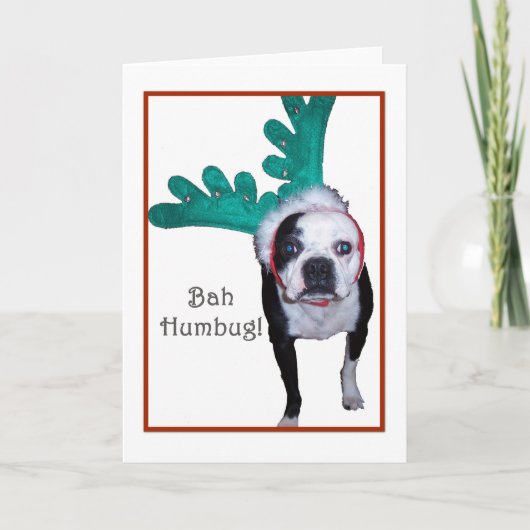 Bah Humbug! - Boston Terrier Feestdagen Kaart (Voorkant)