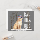 Bah Humbug Funny Chat Carte postale de Noël (Devant/Arrière en situation)