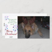 Bah Humbug Kerstkaart Duitse Herder grappig (Voorkant / Achterkant)