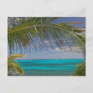 BAHAMAS, Abacos, Loyalist Cays, Man O'War Cay: Briefkaart