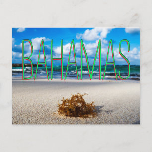 Bahamas Beach Close-up Briefkaart