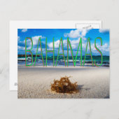 Bahamas Beach Close-up Briefkaart (Voorkant / Achterkant)