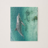 Bahama's, Grand Bahama-eiland, Freeport, Captive 6 Legpuzzel (Verticaal)