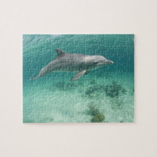 Bahamas, Grand Bahama Island, Freeport, Gevangene  Legpuzzel