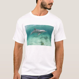 Bahamas, Grand Bahama Island, Freeport, Gevangene T-shirt