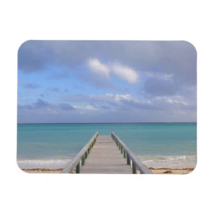 BAHAMAS, Grand Bahama Island, Oostkant: Magneet
