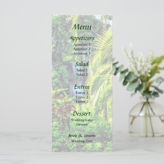 Bahamas - Menu Mariage Tropical Waterfall (Debout devant)