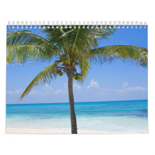 Bahamas Palm Tree Kalender