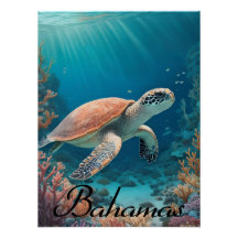 Bahamas Sea Turtle Travel Poster