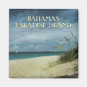 Bahamas Travel Souvenir Photo Magnet Magneet