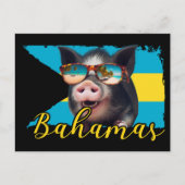 Bahamas Zwemvarkens - Exuma Pig Beach Adventure Briefkaart (Voorkant)